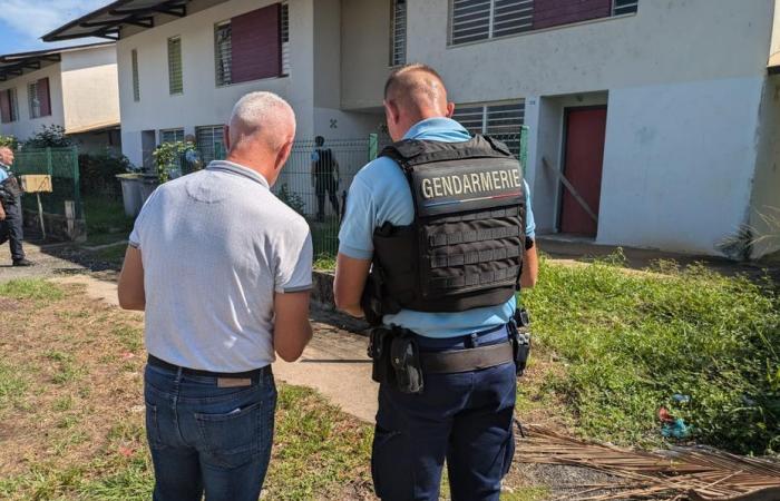 Operazione “Sicurezza” nel quartiere Frangipanier di Macouria