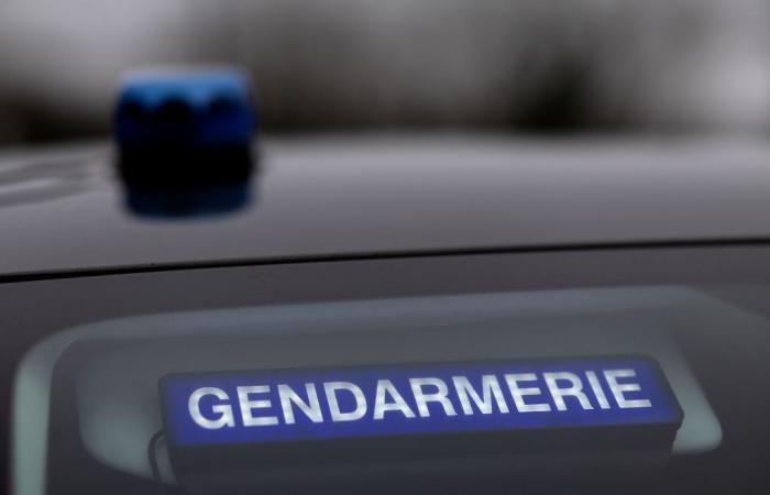 un padre uccide i suoi due figli di quattro e sette anni e si suicida