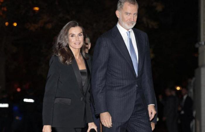 svelato il nuovo ritratto ufficiale di Felipe e Letizia di Spagna