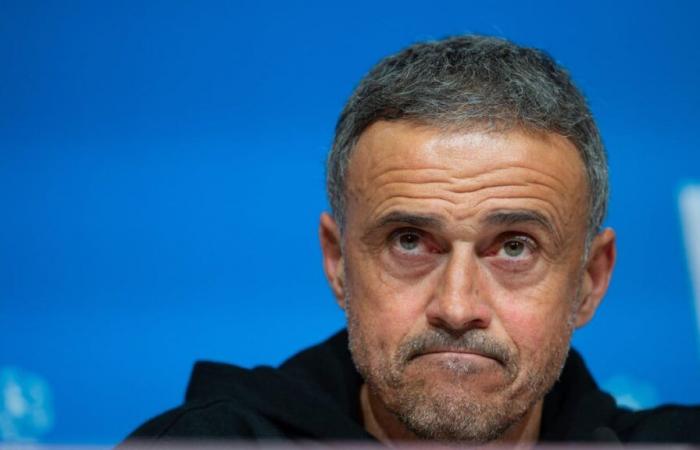 PSG: “Troppo stupido per capire”, Riolo si scontra ancora con Luis Enrique!