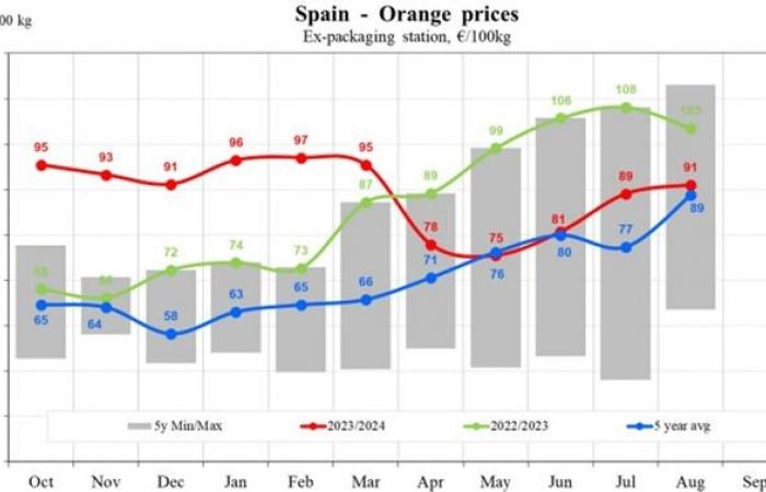 I prezzi delle arance nell'UE diminuiranno del 17,83% nel 2024