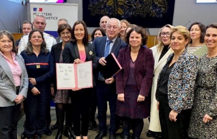 Maine-et-Loire. Verso una migliore assistenza per i bambini durante il femminicidio