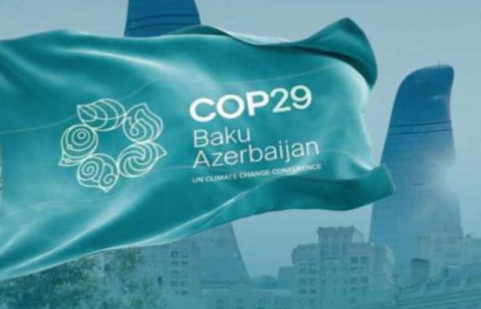 COP29: un accordo su cui nessuno è d’accordo