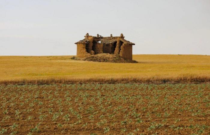 Castilla y León: Richiesti aiuti agli imprenditori della Terra di Campos