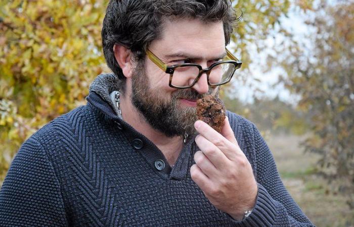 Nell’Aveyron, la coltivazione del tartufo merita di essere conosciuta