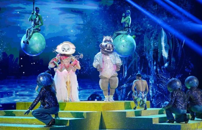 Mask Singer torna presto? TF1 annuncia una sorpresa!