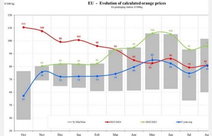 I prezzi delle arance nell’UE diminuiranno del 17,83% nel 2024