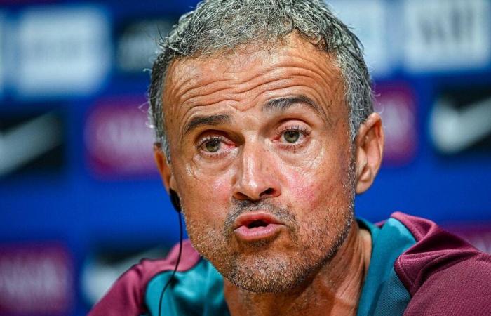 “Luis Enrique mi fa impazzire”, si sfoga in diretta la star di Canal+