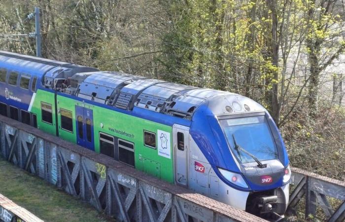 Dopo un “atto di vandalismo”, treni in ritardo o cancellati tra l'Oise e Parigi