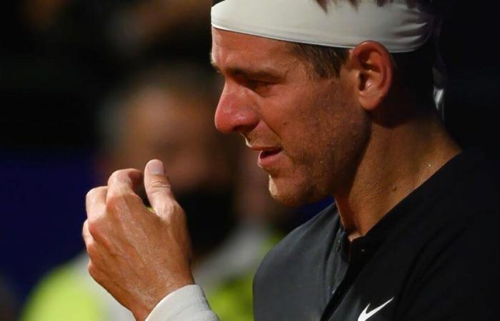 “Questa non è la vita che volevo”, Juan Martin Del Potro descrive la sua vicenda sui social network