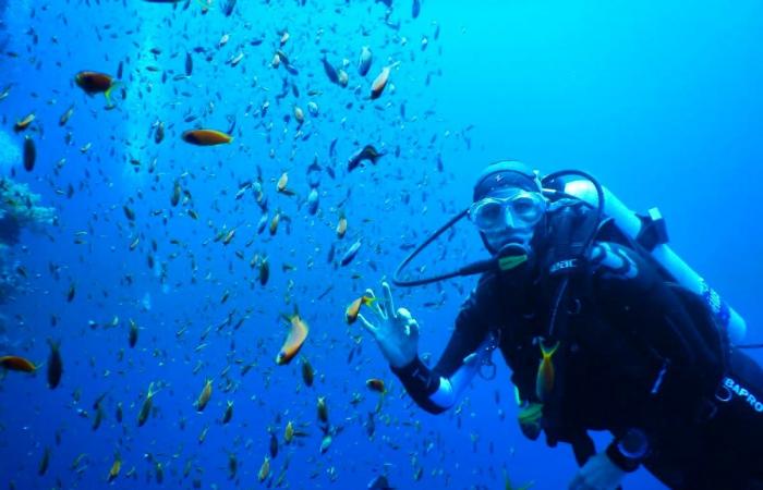 Una donna svizzera avverte delle carenze di sicurezza nelle barche per le immersioni