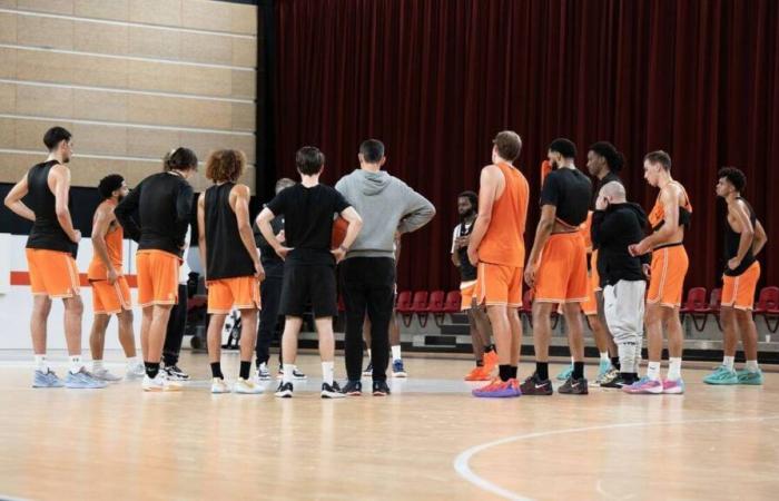 Pallacanestro. Come la MSB ha approfittato della pausa per le Nazionali