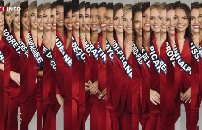 Miss Francia 2025: canzone indicibile, piccole stranezze… scopri i ritratti insoliti delle candidate