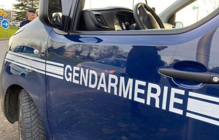 Inquietante scomparsa di un'adolescente nella Côtes d'Armor