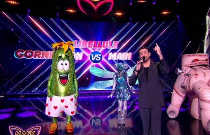 Camille Combal e “Mask Singer”: l'annuncio del tutto inaspettato da TF1