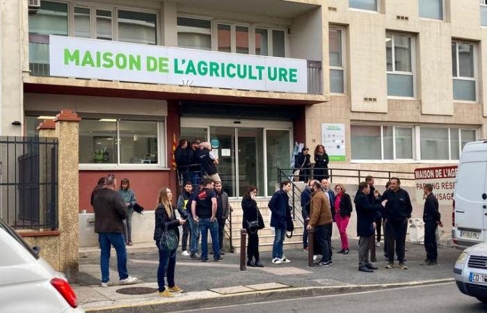 VIVERE. Agricoltori arrabbiati: fine del blocco del casello sud della A9 a Perpignan, questo martedì sera