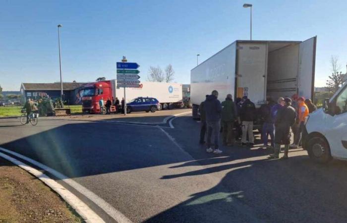 Nuova manifestazione degli agricoltori che hanno perquisito i camion a Villeneuve-sur-Lot