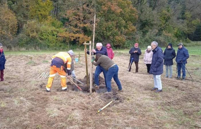 La foresta partecipativa di Verrières-en-Anjou si espande e mette radici