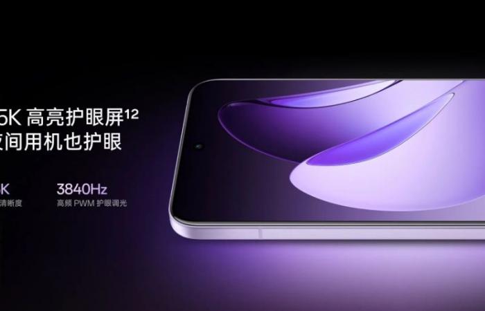 Oppo ha presentato gli smartphone Reno13 e Reno13 Pro, dotati di un nuovo chipset Dimensity 8350 e protezione IP69.