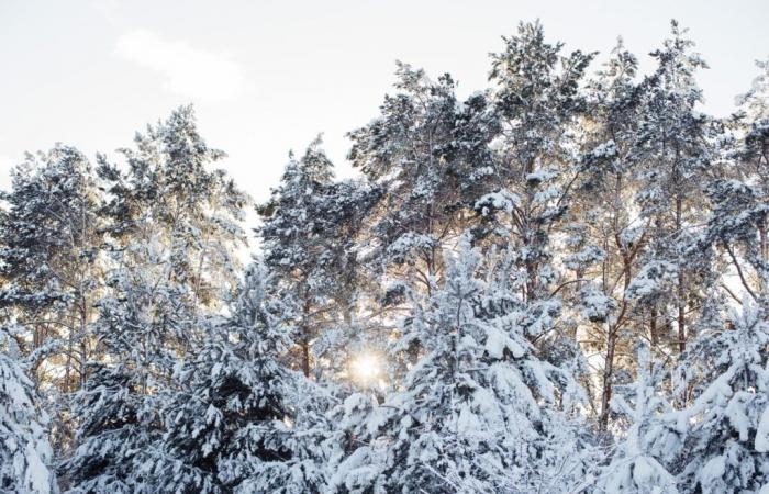 dettagli su freddo e pioggia