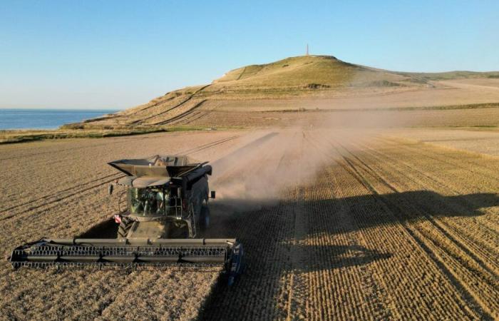 “Per salvaguardare l’agricoltura familiare, dobbiamo riregolamentare i prezzi, il commercio e la produzione”