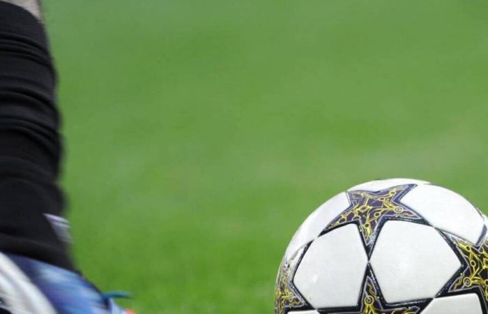 Calcio. Un'indagine è stata aperta dopo che una scimmia piangeva durante una partita amatoriale