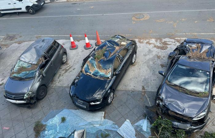 Gli equipaggi stanno ripulendo le conseguenze dei forti venti del fine settimana, i sindaci di Nicosia sollecitano la vigilanza