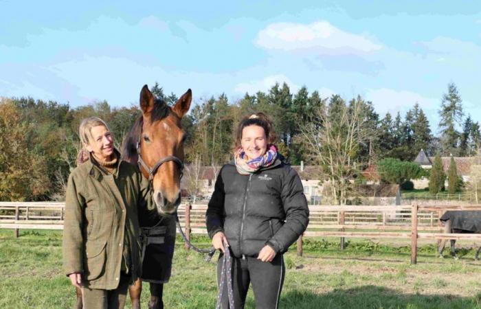 i sentieri di Harambure, una zona dove il cavallo è re