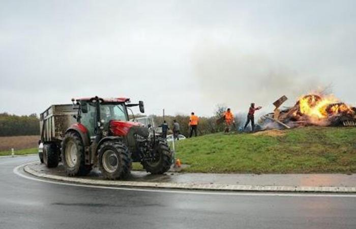 DIRETTO. Rabbia dei contadini, azioni a Indre, Deux-Sèvres e Vienne