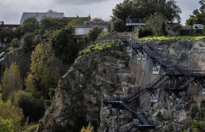 Cade da 30 metri in un parco in centro città: una ragazza di 17 anni in “gravi condizioni”