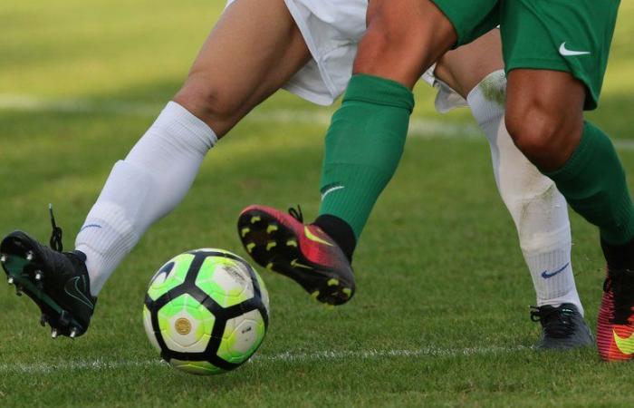 Calcio dilettantistico: “urla” e “imitazioni da scimmia” contro un giovane 17enne, l'arbitro ferma la partita e i giudici aprono un'inchiesta