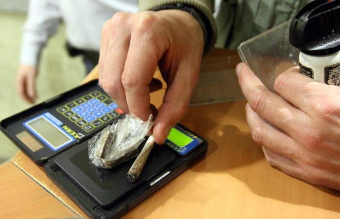 Arrestato con 1 chilo di cannabis nello zaino, spiega di fumare tra i 15 e i 20 spinelli al giorno