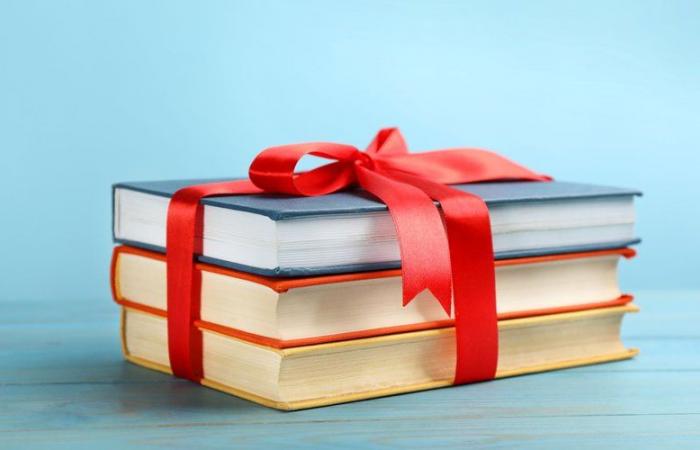 Idea regalo Natale 2024: Quale libro regalare ad una appassionata di moda? Scopri la collezione Piccoli Libri