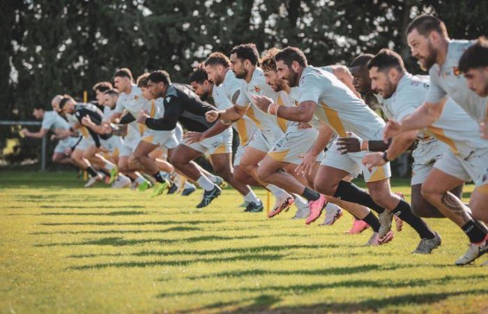 Rugby League: i Dragons catalani continuano il loro giro nel dipartimento