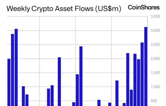 Volume 210: Rapporto settimanale sui flussi di fondi per asset digitali | di James Butterfill | Novembre 2024