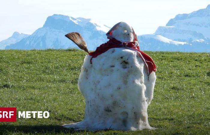 Dal bianco al verde: addio alla neve! -Meteo