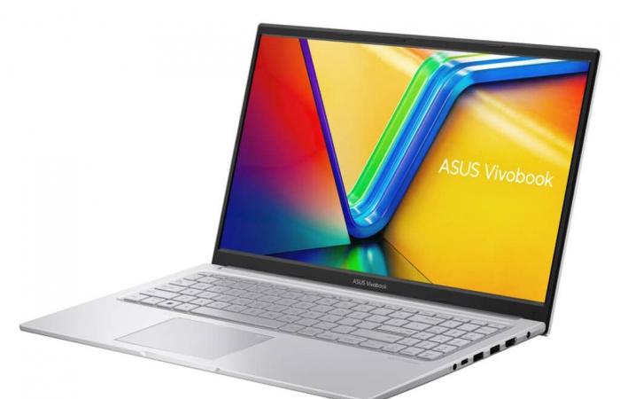 Asus Vivobook 15 S1504VA-DRNJ111W, Ultrabook argento sottile e leggero da 15″ con Intel Core i5 con ampio spazio di archiviazione SSD veloce da 1 TB – LaptopSpirit