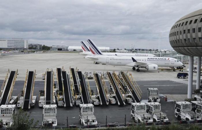 Piste chiuse, droni, perquisizioni… La scomparsa di un cane semina il panico all'aeroporto Charles-de-Gaulle