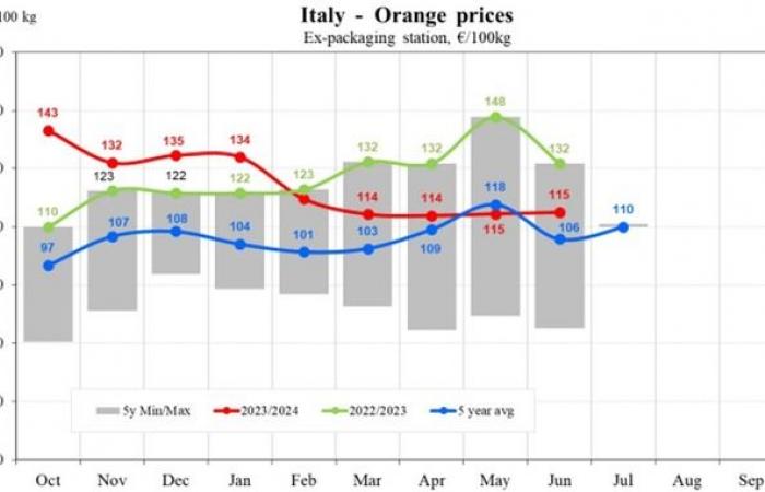 I prezzi delle arance nell'UE diminuiranno del 17,83% nel 2024