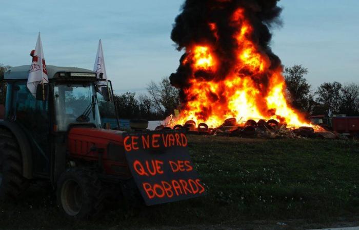 VIVERE. Agricoltori arrabbiati: fine del blocco del casello sud della A9 a Perpignan, questo martedì sera