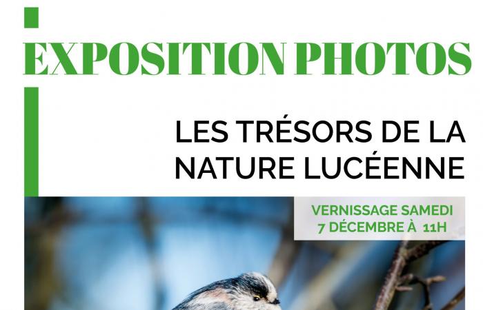 Mostra “Tesori della natura lucese” presso il Municipio