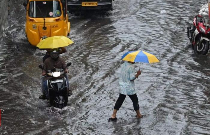 Il Tamil Nadu si prepara alla forte pioggia: squadre SDRF/NDRF schierate nei distretti | Notizie di Chennai