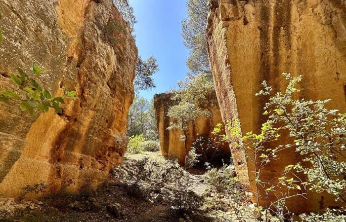 Mostre, tour della città, visite coinvolgenti… Aix-en-Provence prepara un grandioso omaggio a Cézanne