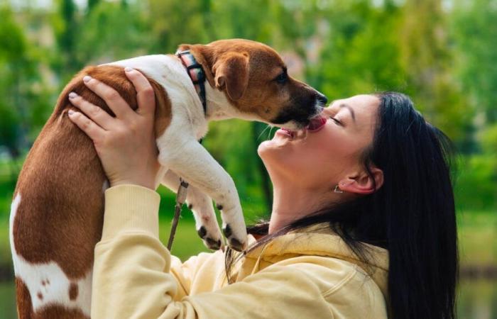 Igiene: non lasciare che un cane ti lecchi la faccia