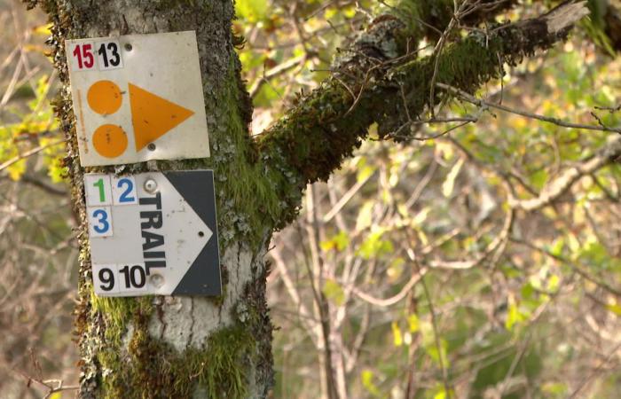 “Parigini, Tolosa, Lionesi, Bretoni, qualche straniero…” Le Loup Blanc, un percorso su scala nazionale in piena preparazione