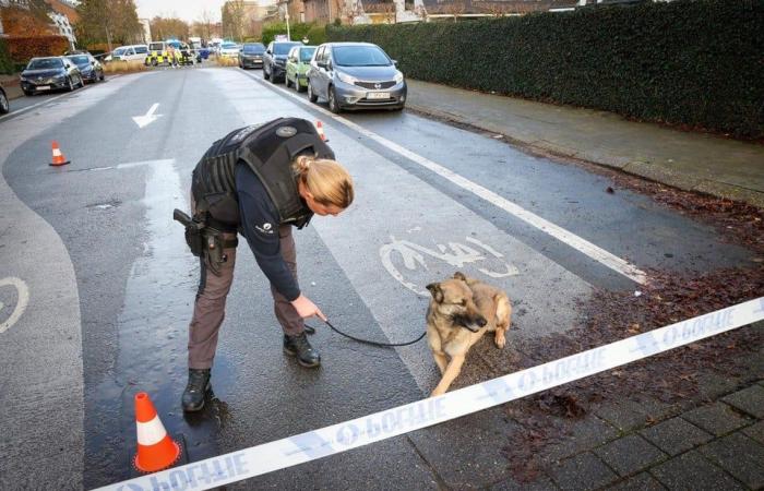 Uomo spara da un’auto contro un’altra macchina a Berchem: studentessa ha assistito alla sparatoria, sospettato in fuga (Berchem)