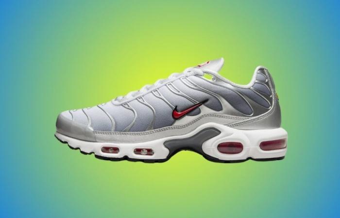 Errore di prezzo su queste Air Max Plus ultra trendy? Nike colpisce duro