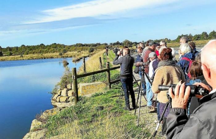 Il Parco Naturale Regionale festeggia al Coro di Vannes, questa domenica 1 dicembre