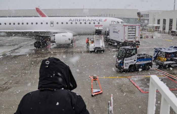 All'aeroporto Charles de Gaulle, una turista cerca il suo cane disperso sulla pista da una settimana: un “dispositivo eccezionale” utilizzato da Air France – Libération