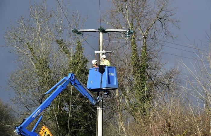 “Dovevamo accogliere i bambini senza riscaldamento e buttare via i pasti della mensa”